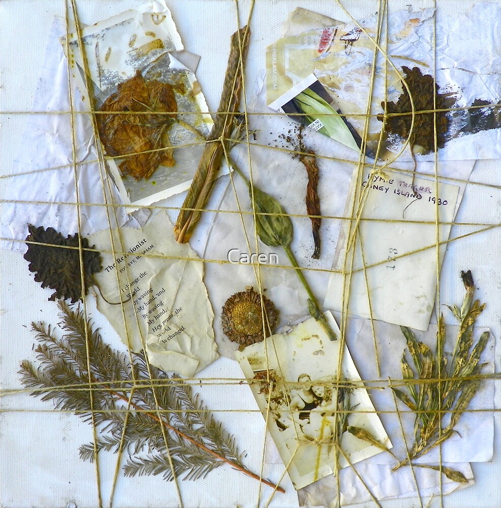 "Paper & Nature Collage (DisCo Reveal)" by Caren | Redbubble