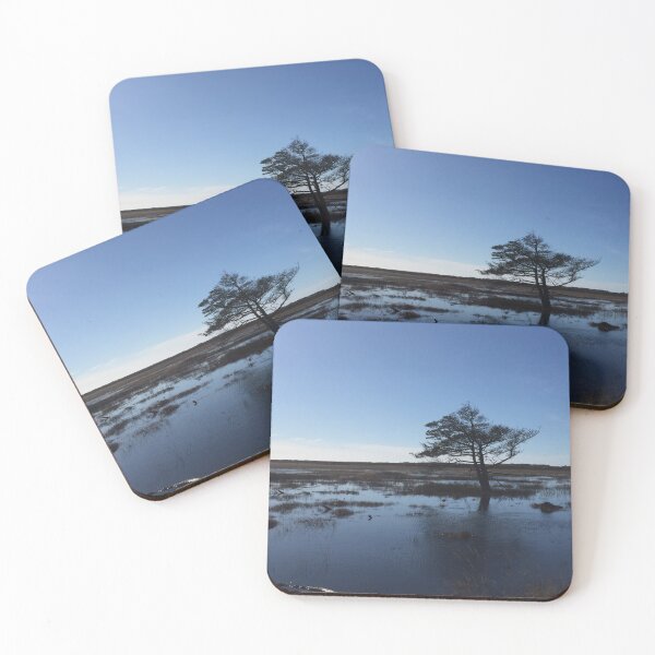 Lonely tree Coasters (Set of 4)