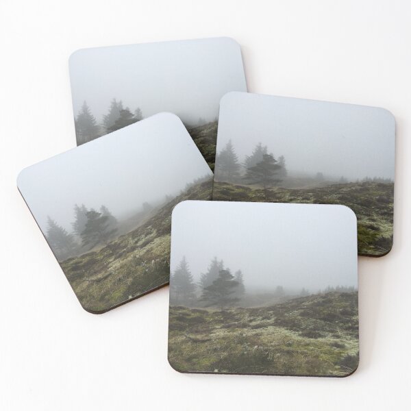 Fog in the forest Coasters (Set of 4)