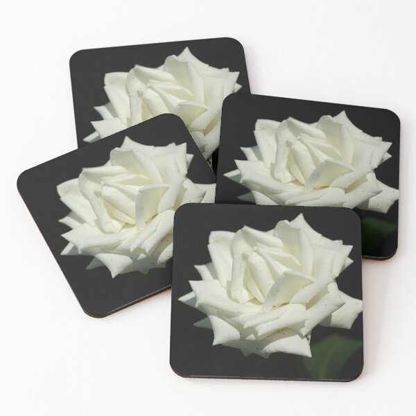 Item preview, white rose on black background designed and sold by olena2552.