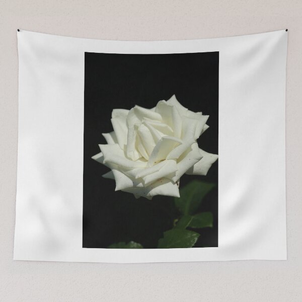 Item preview, white rose on black background designed and sold by olena2552.