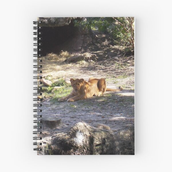 Item preview, Lion Cub designed and sold by tessanicole.