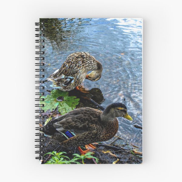 Item preview, Mallards designed and sold by Barry W  King.