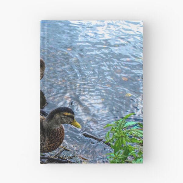 Item preview, Mallards designed and sold by Barry W  King.