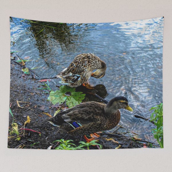 Item preview, Mallards designed and sold by Barry W  King.