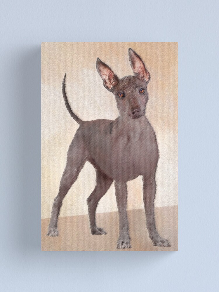 xoloitzcuintli painting