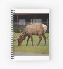 Cuaderno de espiral ohhh poop