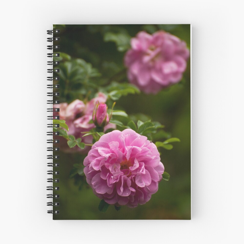 Item preview, Spiral Notebook designed and sold by camillaskye.