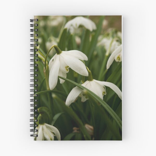 Item preview, Spring Snow Drops designed and sold by Skye Hohmann.