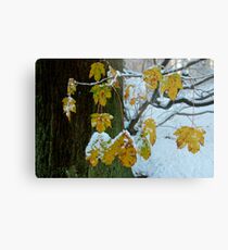 Encountered Surprise Metal Print