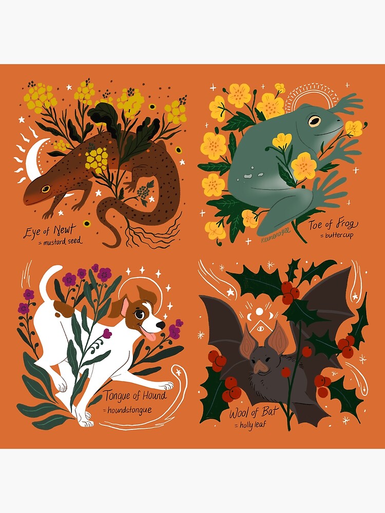 Witch's Brew: A Collection by straungewunder
