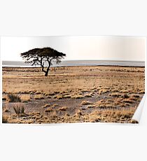 Etosha Pan Poster