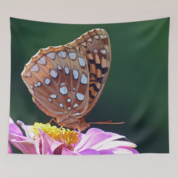 Item preview, Great Spangled Fritillary designed and sold by Frankie Cat Photography.