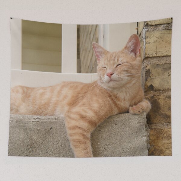 Item preview, Relaxing Country Cat designed and sold by imphavok.
