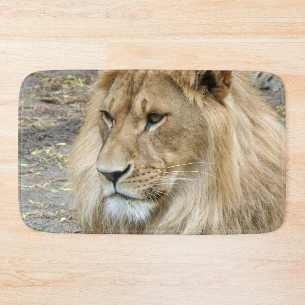 Item preview, Lion 011 designed and sold by JAMFoto.