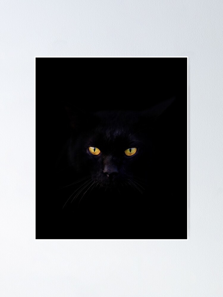 Poster Chat Noir Avec Des Yeux Jaunes Etonnants Par Samer11 Redbubble