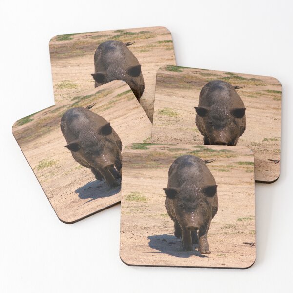 Item preview, Dirty vietnamese pig designed and sold by Shoshina.