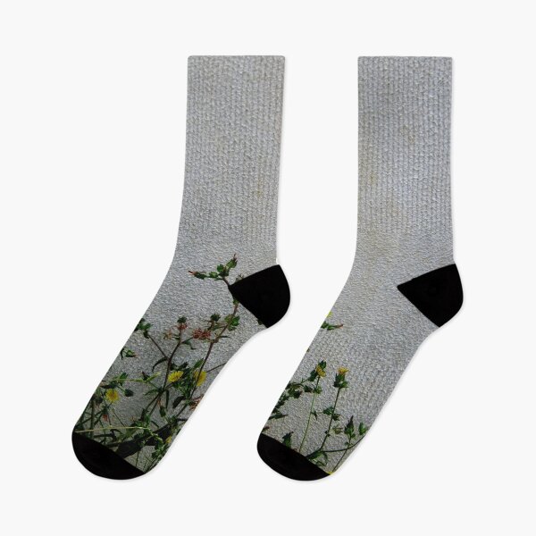 Item preview, Yellow daisies wild flowers white wall designed and sold by Anna Lemos.
