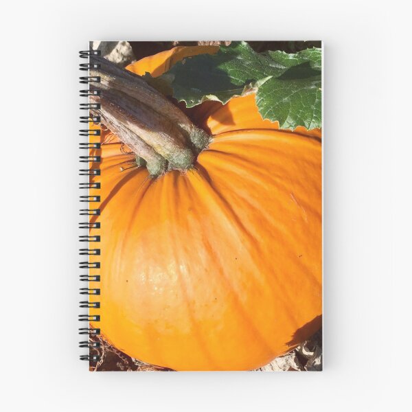 Item preview, My Little Pumpkin  designed and sold by Angela Haig-Harrison.