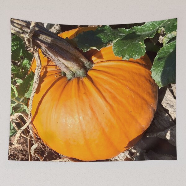 Item preview, My Little Pumpkin  designed and sold by Angela Haig-Harrison.
