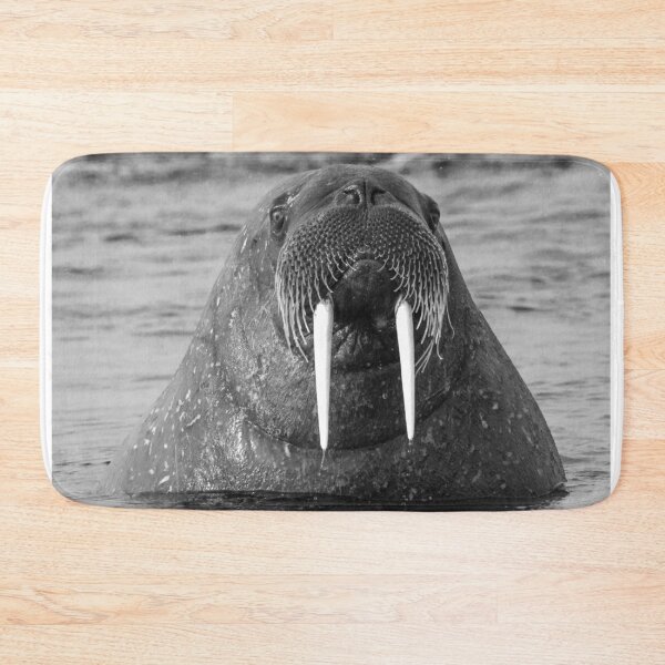 Item preview, Walrus designed and sold by elissatitle.