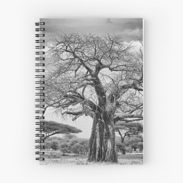 Item preview, Baobab designed and sold by elissatitle.