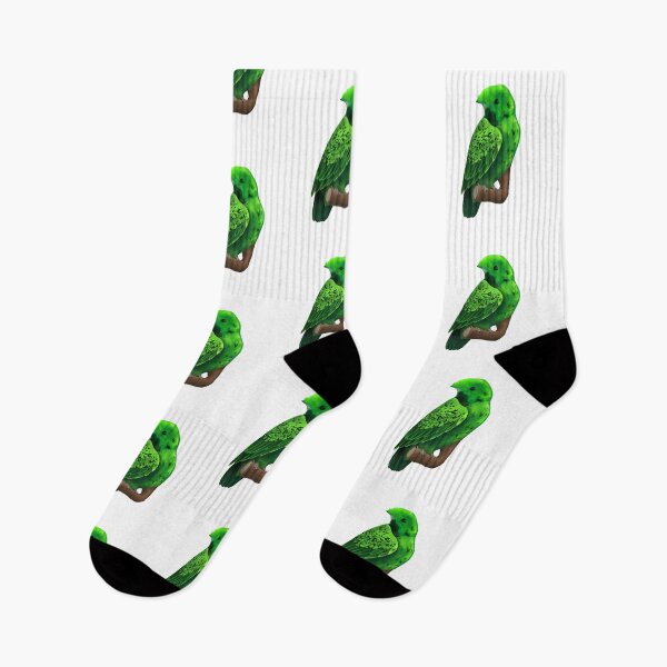 Item preview, Whitehead's Broadbill designed and sold by Strigiforma.