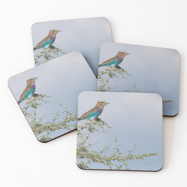Item preview, Lilac Breasted Roller designed and sold by elissatitle.