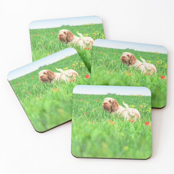 Item preview, Wildflower Spinone designed and sold by FOLK ART FUSION.