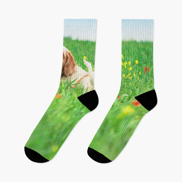 Item preview, Wildflower Spinone designed and sold by FOLK ART FUSION by heidiannemorris.