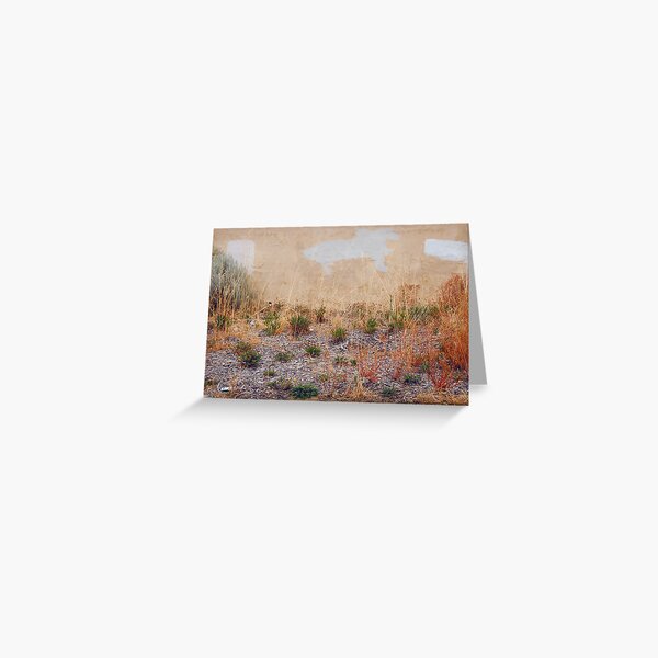 desert vista Greeting Card