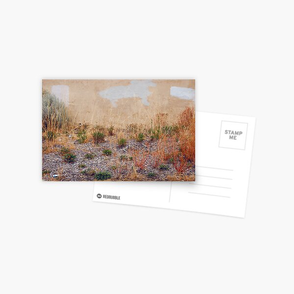 desert vista Postcard