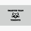 Funny Raccoon Animal Smarter Than Toronto Light Monotone Bath Mat By Tinystarcanada Redbubble