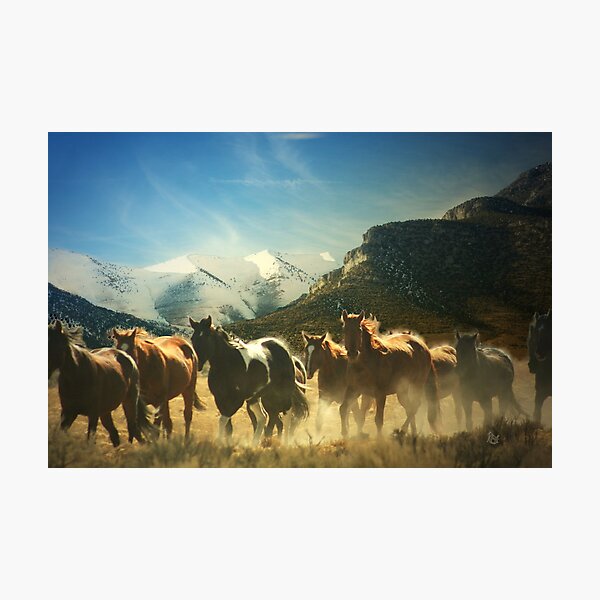 Winter Crossing Photographic Print