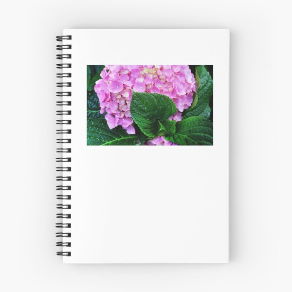Item preview, Hydrangea designed and sold by Laurie Minor.