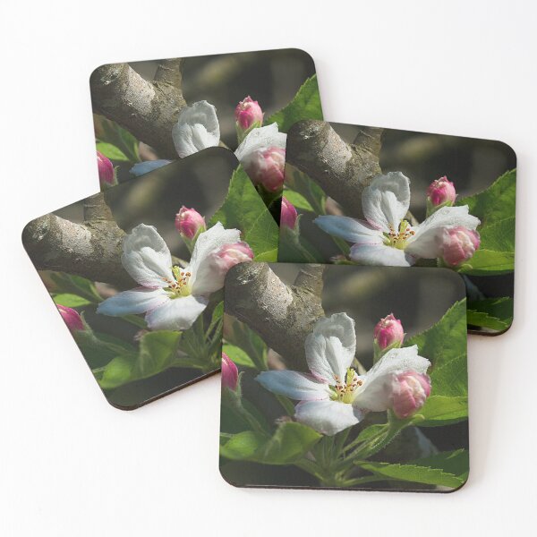 Item preview, Apple Blossoms in the Fall designed and sold by Brenda Burnett.
