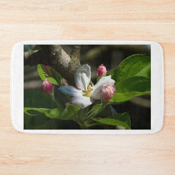 Item preview, Apple Blossoms in the Fall designed and sold by Brenda Burnett.
