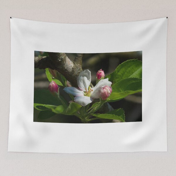 Item preview, Apple Blossoms in the Fall designed and sold by Brenda Burnett.