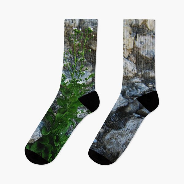 Item preview, Flowering Weed growing on a stone wall designed and sold by Anna Lemos.