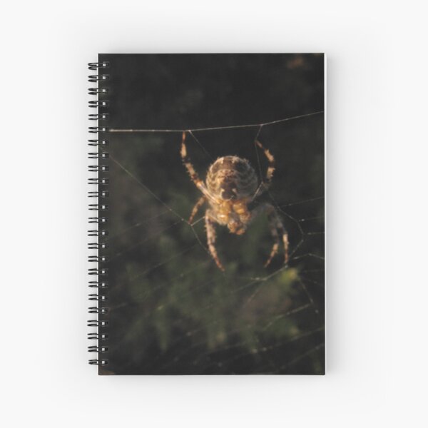 Spider from beneath Spiral Notebook