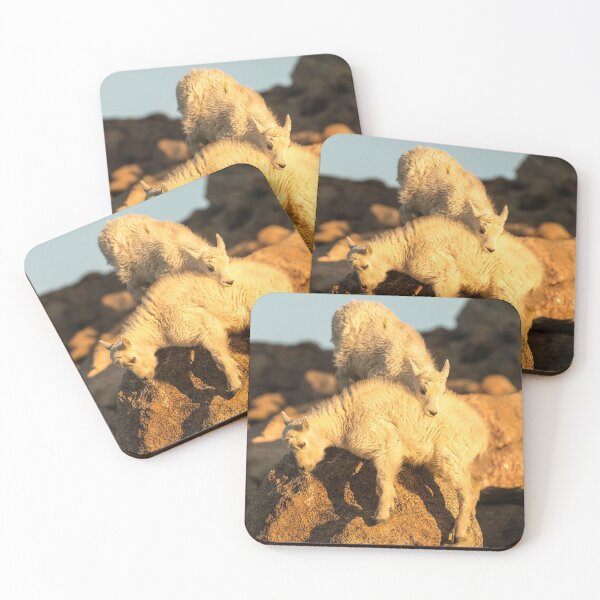 Item preview, Mountain Goat Playtime designed and sold by jmscyclist.