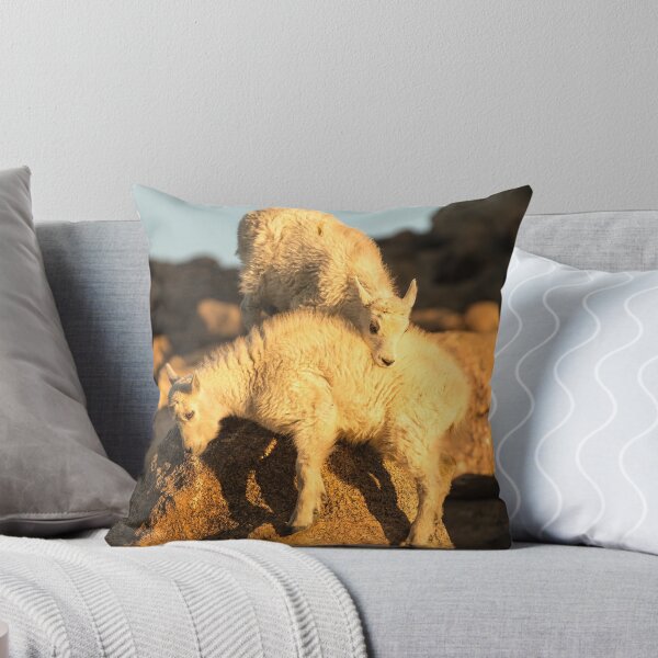 Item preview, Mountain Goat Playtime designed and sold by jmscyclist.