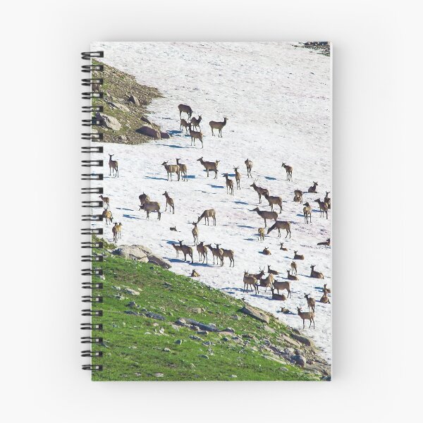 Item preview, Elk Herd on Mt Evans designed and sold by jmscyclist.