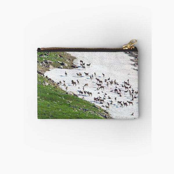 Item preview, Elk Herd on Mt Evans designed and sold by jmscyclist.