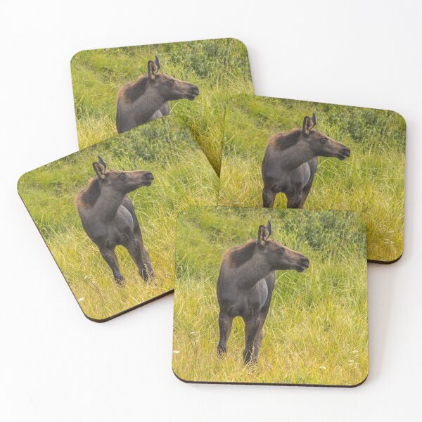 Item preview, Baby Moose designed and sold by May Finch.