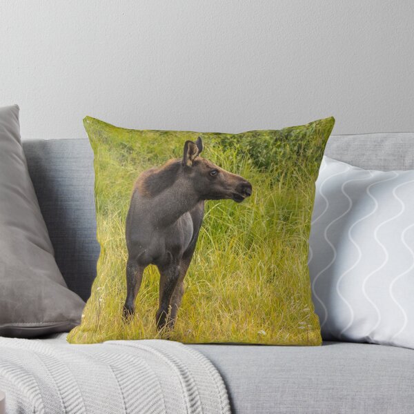 Item preview, Baby Moose designed and sold by May Finch.