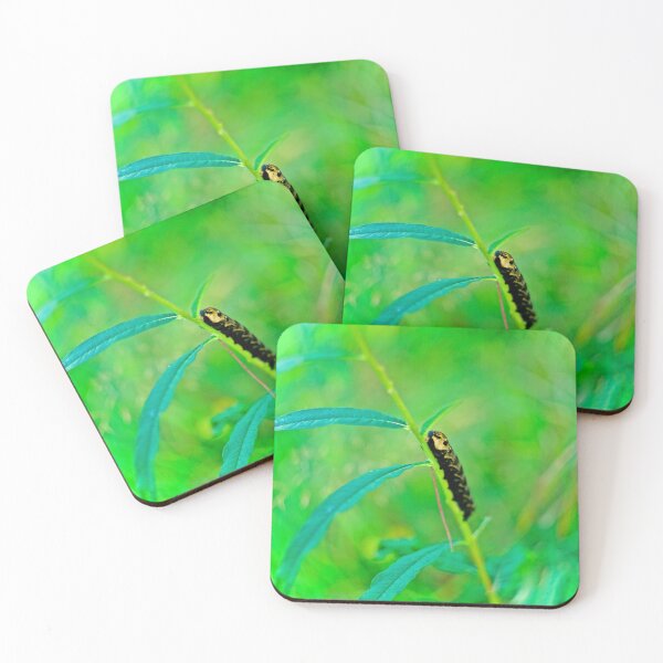Item preview, HERB LIFE designed and sold by NICK COBURN PHILLIPS.