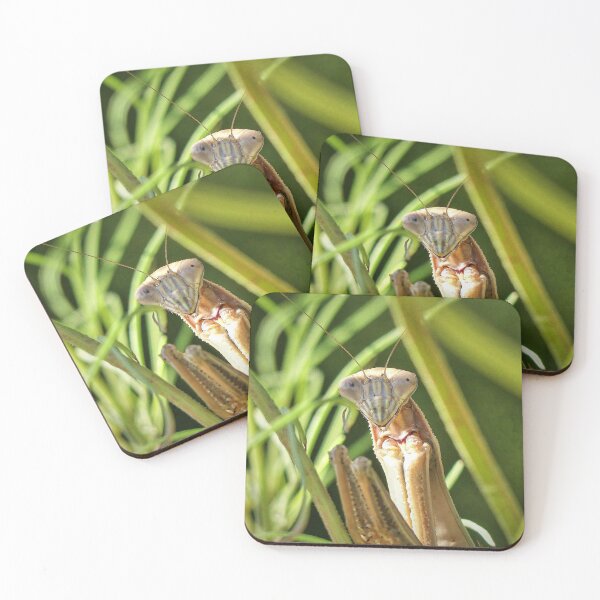 Item preview, Praying Mantis designed and sold by Frankie Cat Photography.