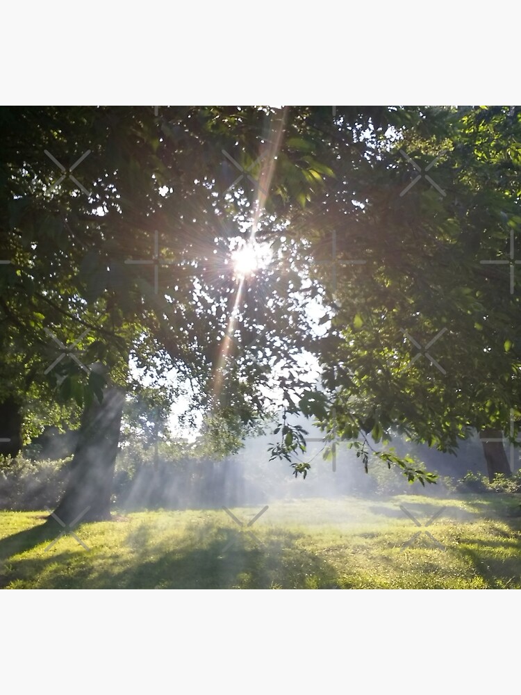 M.I. #11 |☼| Smoky Tree Sun Rays - Landscape Shot (Pearson Park) by Naean