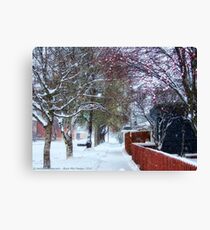 Winter Street Canvas Print
